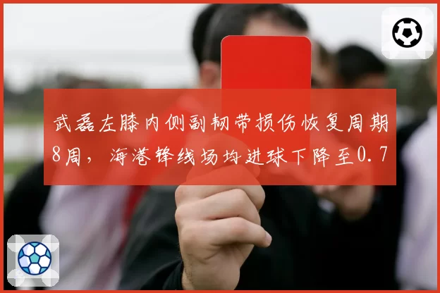 武磊左膝内侧副韧带损伤恢复周期8周，海港锋线场均进球下降至0.7球