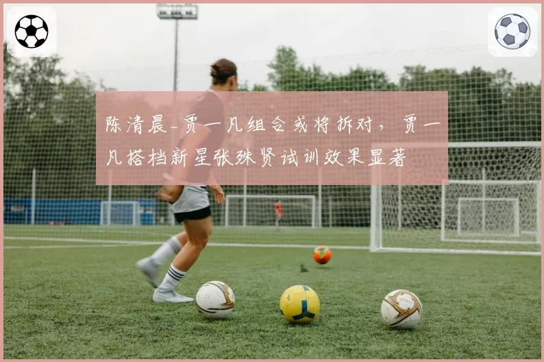 陈清晨_贾一凡组合或将拆对，贾一凡搭档新星张殊贤试训效果显著