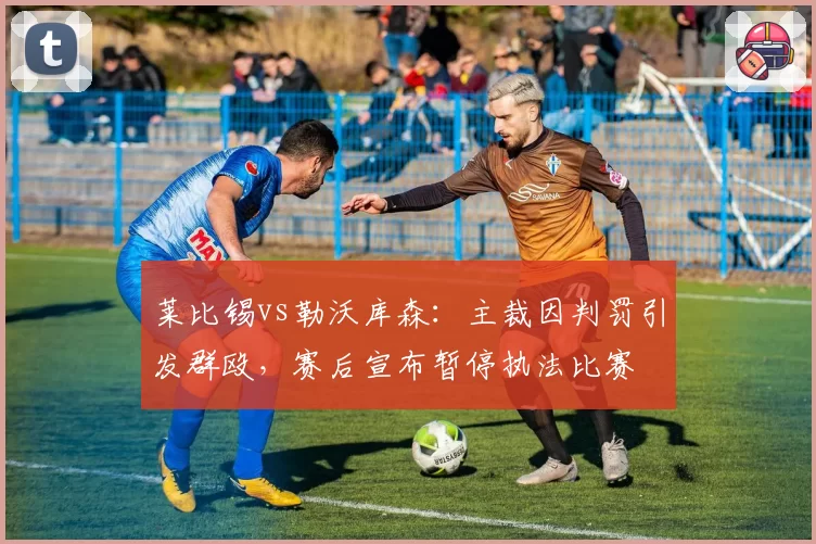 莱比锡vs勒沃库森：主裁因判罚引发群殴，赛后宣布暂停执法比赛